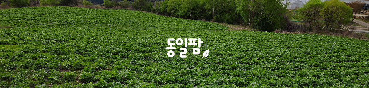동일팜
